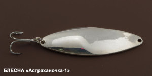 serebryanaya-blesna-5